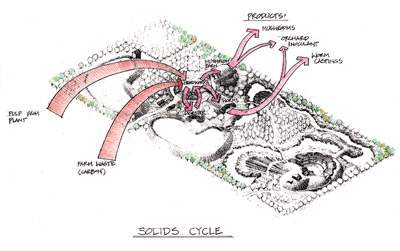 Axonometric view of Odwalla Recycling Facility, solids cycle